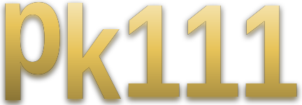 pk111 logo